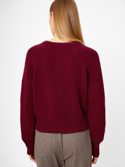 Eine Person mit langem, glattem, hellbraunem Haar wird von hinten gezeigt. Sie trägt einen burgunderroten Pullover und eine braune Hose und steht vor einem schlichten weißen Hintergrund.